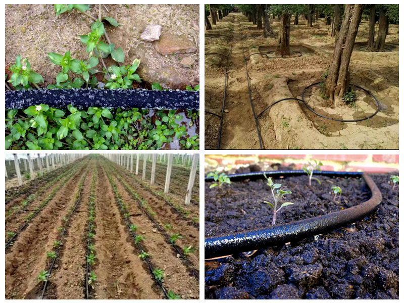 Cum se folosește furtunul de cauciuc pentru irigare?