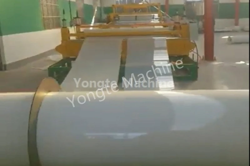 Mașină de extrudare a foilor subțiri PE instalată în China
